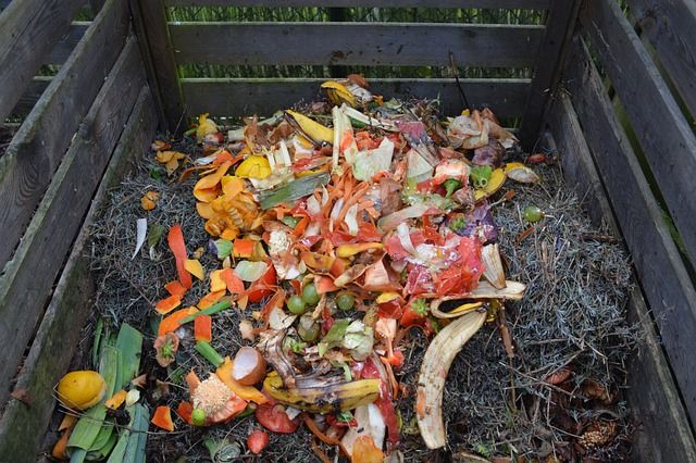 Organic waste pile