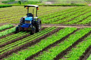 Managing Agricultural Residual - Best Price Skip Bins