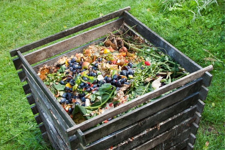 Wood Ash Disposal - Compost