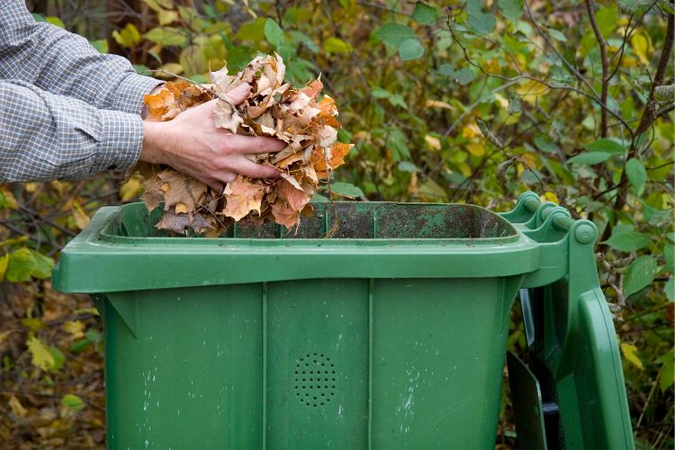 Man putting dead leaves into a Green Bin